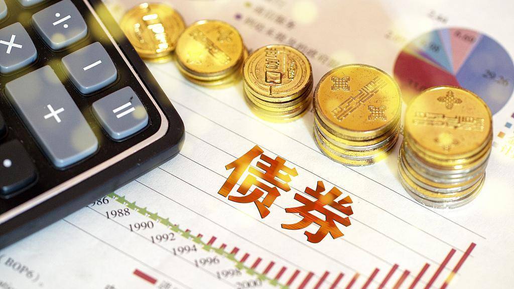  关税休战与盈利前景提升，印度散户创纪录490亿卢比支撑市场